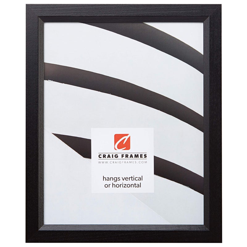 Craig Frames Craig Frames 7171610BKC1421AAC 0825Inch Wide PicturePoster Frame in Wood Grain Finish 14 by 21Inch Solid Black 