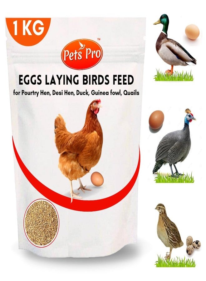 Pets Pro علف دواجن بيتس برو لإنتاج البيض | علف طيور الإنتاج 1 كجم، للدجاج البلدي، والبط، ودجاج غينيا، والسمان، خليط بذور علف الطيور - Image 1