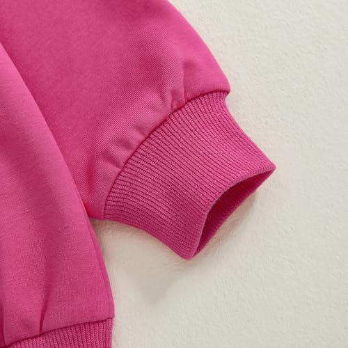 ZyHwShine Toddler Baby Girl Valentines Outfit Letter Embroidery Sweatshirt Crewneck Pullover Long Sleeve Sweater Clothes (fries before guys-Purple, 3-4 Years) - Image 2