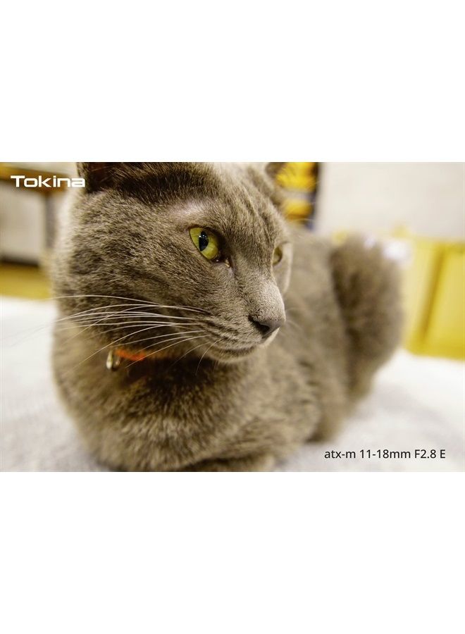 Tokina توكينا ATX-m 11-18mm F2.8 E-Mount - Image 5