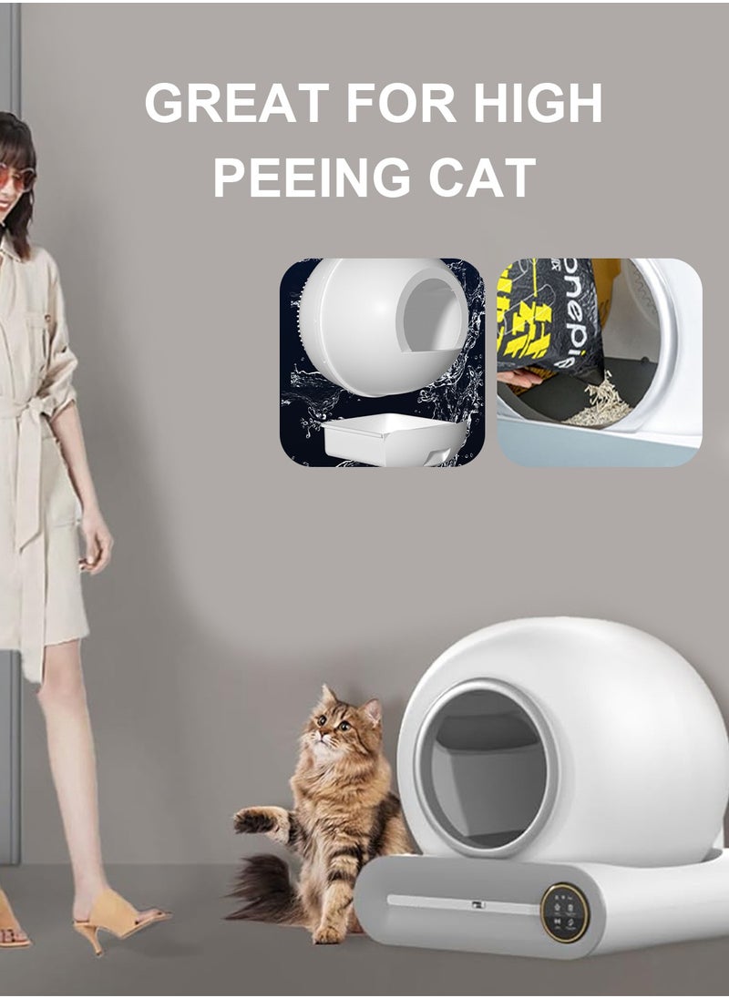 Automatic Cat Litter Box Intelligent Cat Litter Box Self Cleaning Cat Litter Box with APP Control - pzsku/ZD71DEAE30536BB03C4F1Z/45/_/1731250532/7024b0a2-c541-4984-98cd-aea109f4a303