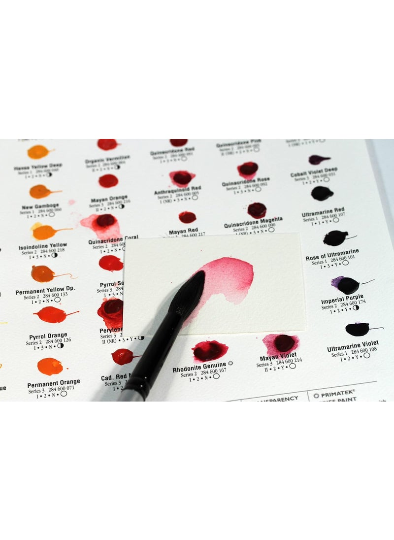 Daniel Smith DANIEL SMITH Mineral Marvels Dot Card Set  - Image 2