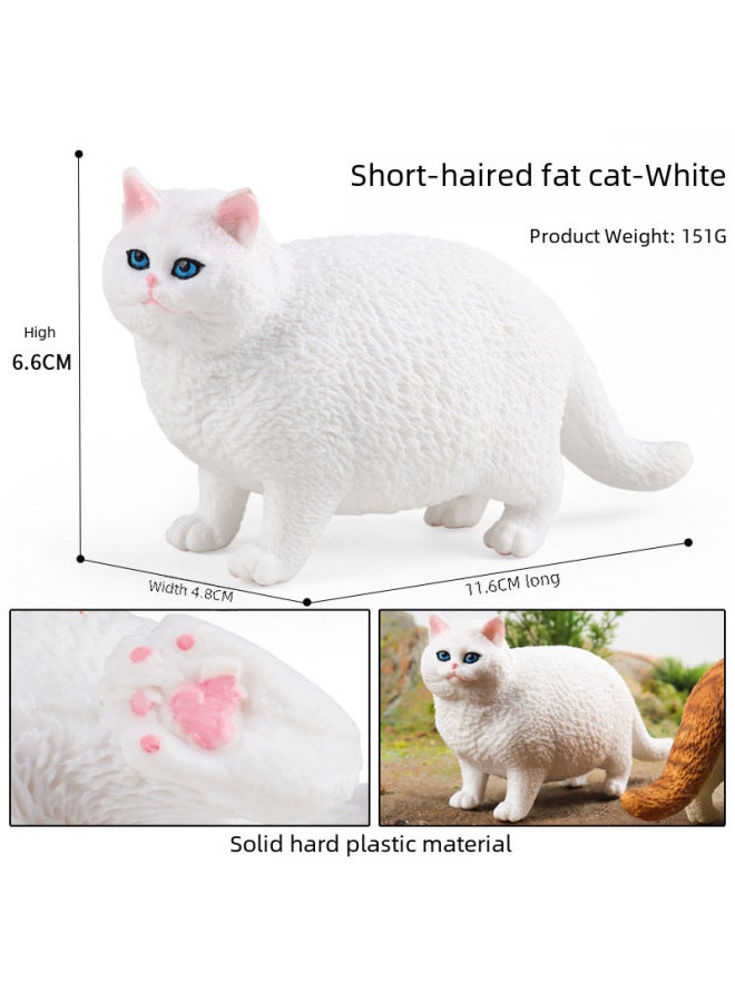 Children's Simulation Short-haired Fat Cat Model Cognitive Cat Accessories Domestic Cat Birthday Gift English Short Tabby Doll Ornaments-Color:M-3245 Short-haired Fat Cat (yellow)  - Image 4