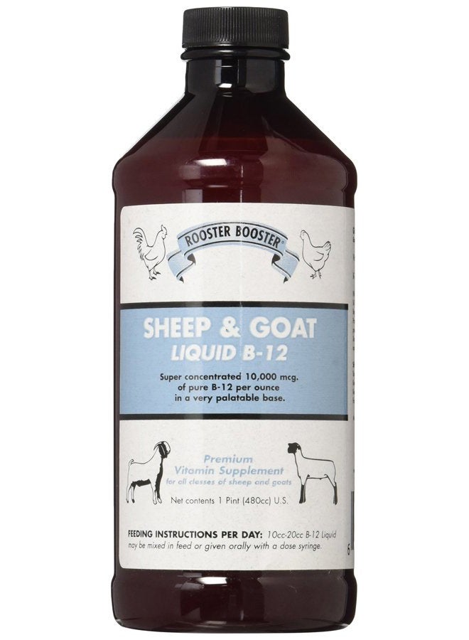 Sheep & Goat Liquid B-12, 470ml