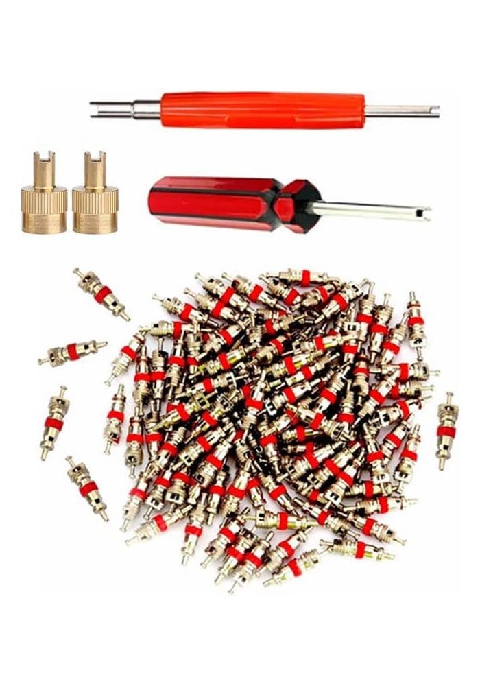 Aracey Sowist Valve Core Remover Tool Set with 100 Valve Cores - Image 1