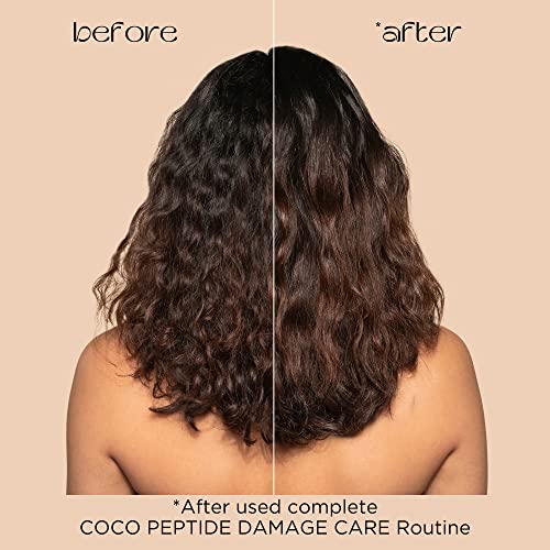 Pacifica Coco Peptide Damage Care Shampoo – Repairing Sulfate-Free Shampoo for Damaged Hair, Split Ends & Breakage, w/Collagen & Peptides Silicone-Free Clean Vegan & Cruelty-Free Dermatologist Tested - Image 3