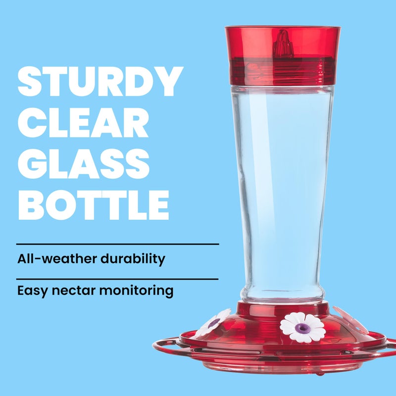 More Birds Bird Health+ Ruby Hummingbird Feeder, Glass Hummingbird Feeders for Outdoors, 4 Feeding Stations, 10 Ounces, Ruby Red - Image 2