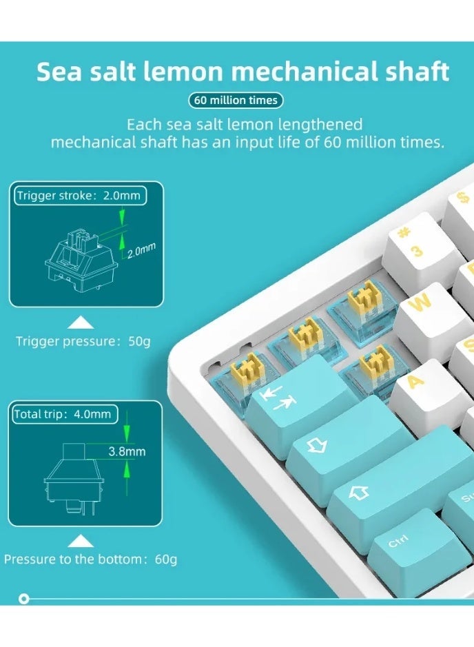 Captor KT68 RGB Gaming Mechanical Keyboard - HotSwappable Sea Salt Switch Linear - PBT Keycaps - Volume Knob - Image 2