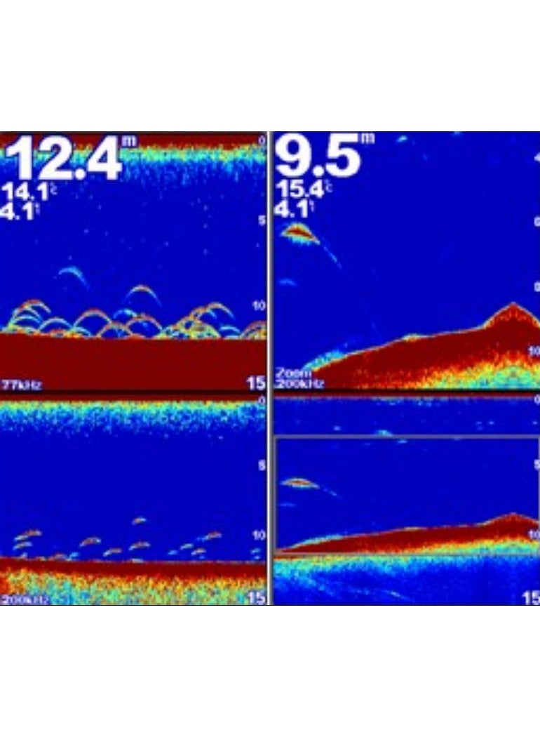 جارمين جهاز تحديد الأسماك 350C – جهاز سونار ملون عالي الدقة مع تتبع العمق والكشف عن الأسماك في الوقت الفعلي - Image 5