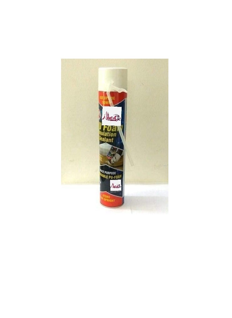 ABBASALI - Polyurethane Spray Foam, 750ml - Image 1