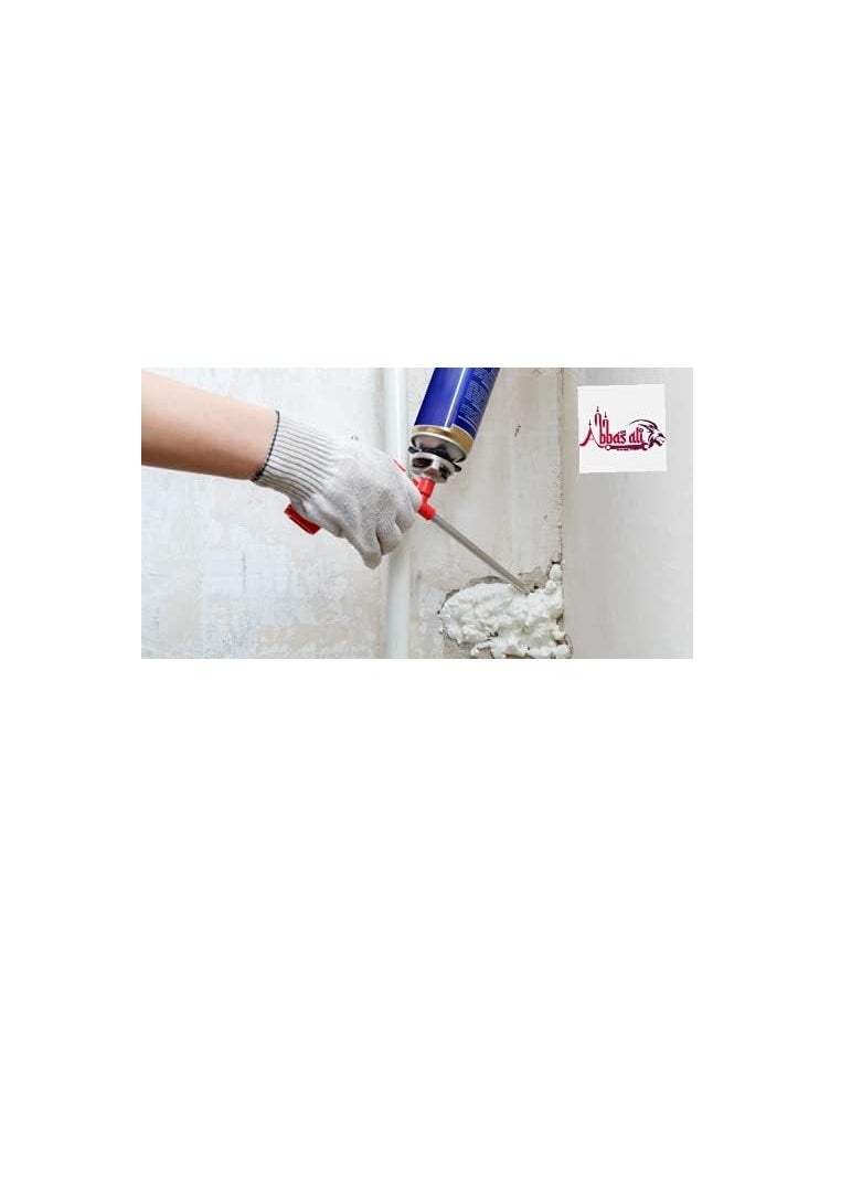 ABBASALI - Polyurethane Spray Foam, 750ml - Image 1