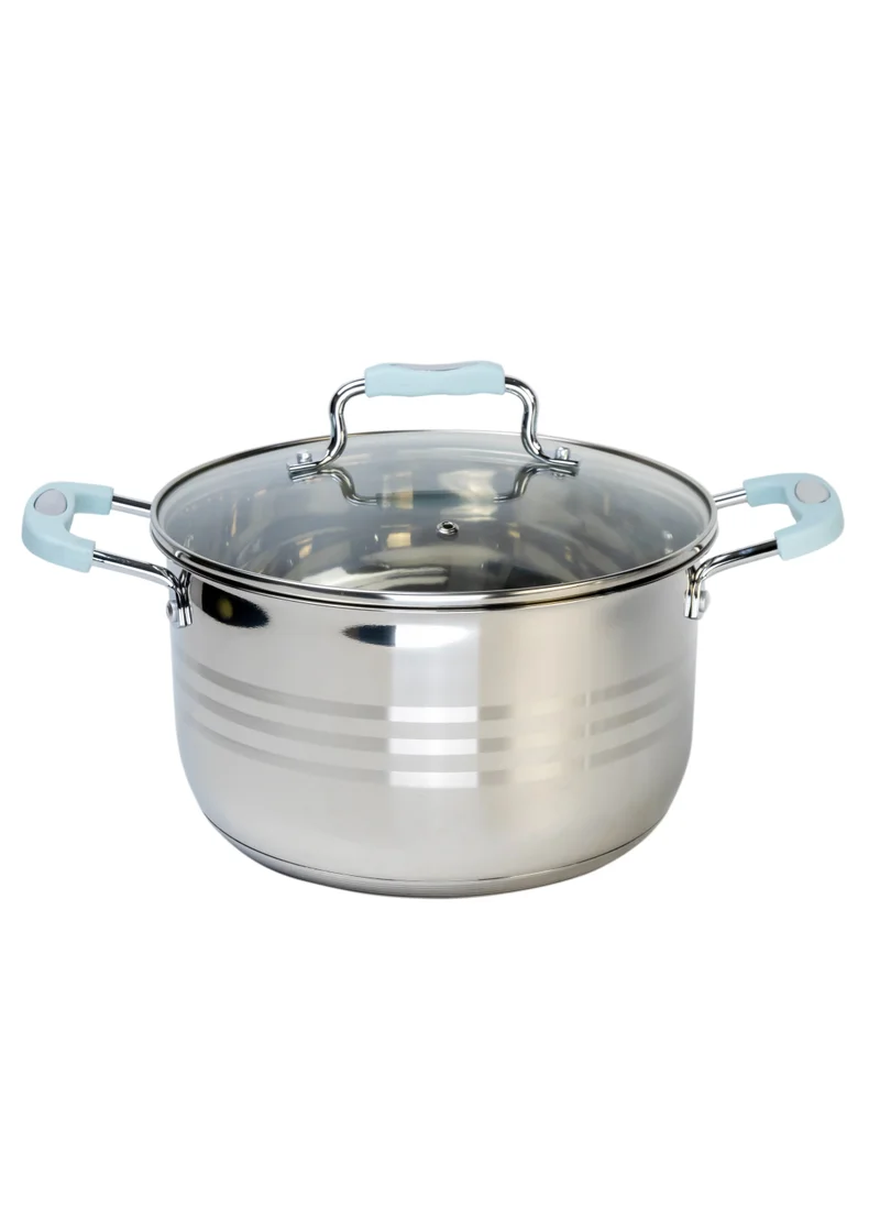 Wilson Stainless Steel Casserole With Blue Color Silicon Handle Gs-023