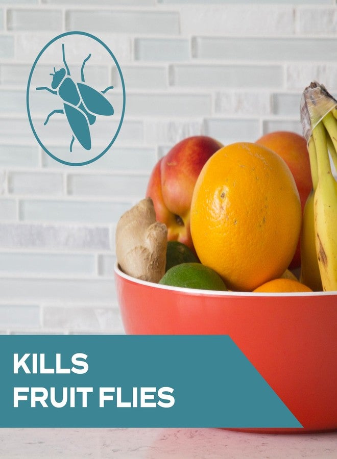 ستيم مصيدة ذباب الفاكهة STEM Kills: مصيدة ذباب الفاكهة بمستخلصات نباتية؛ 5.4 أونصة سائلة (عبوة من قطعة واحدة) - Image 2