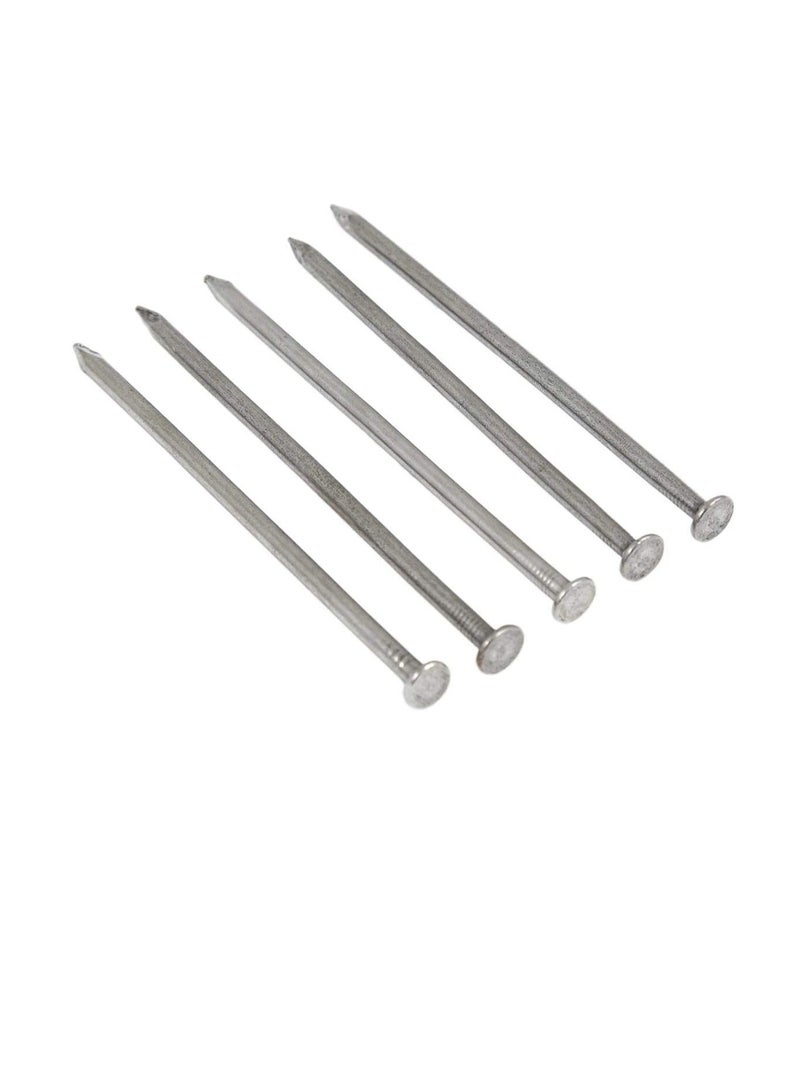 Nail 4 inches Set 1 Box - Image 2