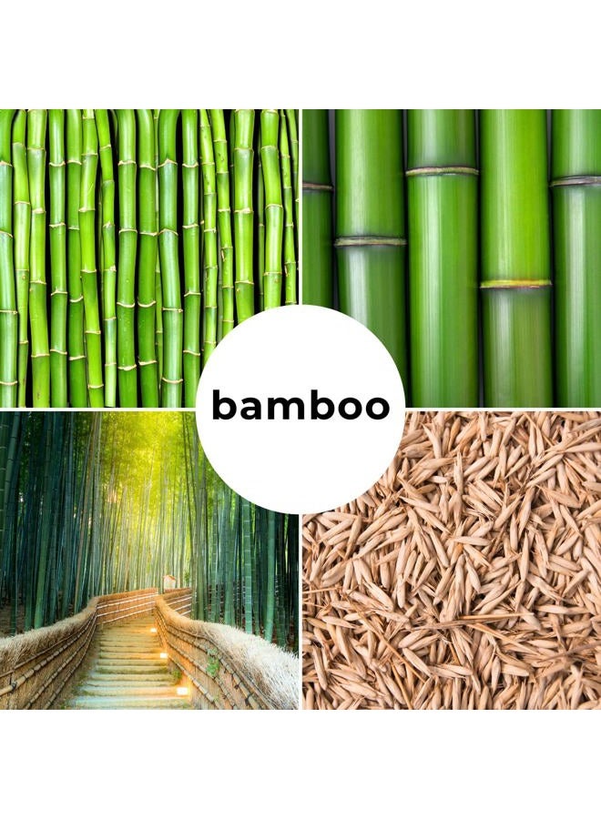 CZ Grain 200+ Fresh Giant Bamboo Seeds for Planting - Quick Growth and Winter Hardy Privacy Screen, Good for Environment - Image 3