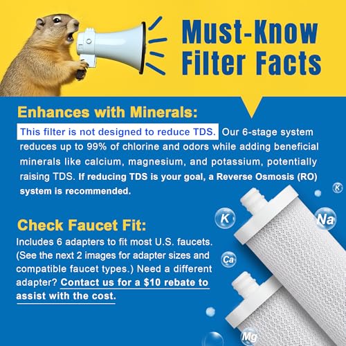 LCF Upgrade Countertop Water Filter, 𝐒𝐢𝐥𝐯𝐞𝐫 𝐈𝐨𝐧𝐬 Enhanced 6-Stage Stainless Steel Water Filter for Sink Faucet, Reduces Heavy Metals, Bad Taste & 99% Chlorine, 16,000 Gallons(2 Filters) - Image 2