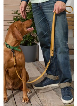 Tchibo Dog Lead Leash Waterproof, Yellow  - Image 1