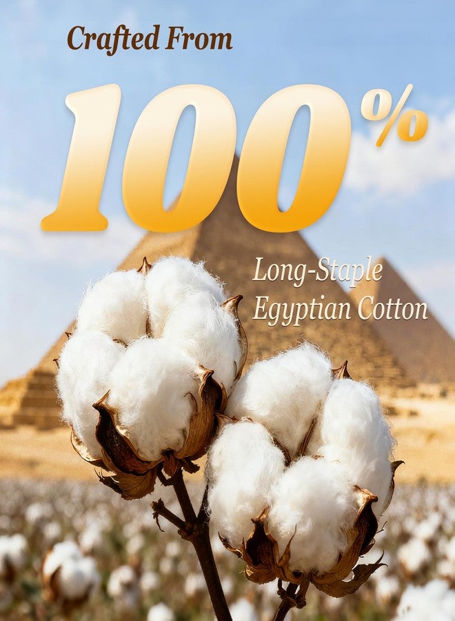 LBRO2M طقم ملاءات LBRO2M قطن 100% بعدد خيوط 1000، طقم من 4 قطع (أسود، كوين) - Image 2