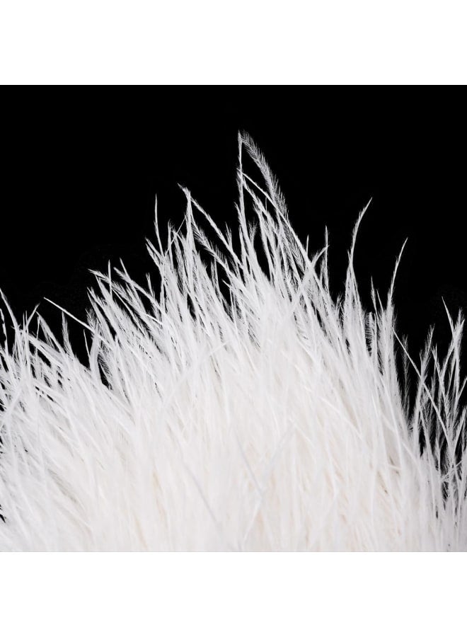 2 Yards Natural Soft Ostrich Feathers Fringe Trims Ribbon for Dress Sewing Decoration Craft Clothing Wedding Decoration Sewing Crafts 10-12cm(White)  - Image 4