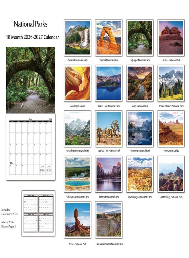 OMEYA Calendar 2026-2027 - 2026-2027 Wall Calendar: APR.2026 - SEP.2027, 12" x 24" (Opened), Full Page Monthly View, Thick & Sturdy Paper for Gift, Perfect Nature Calendar Organizing & Planning - Image 4