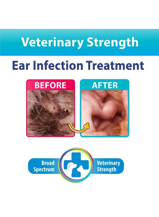 Bexley Labs Curaseb Dog Ear Infection Treatment Solution - Soothes Itchy & Inflamed Ears - Cleans Debris and Buildup - 12oz - Image 2