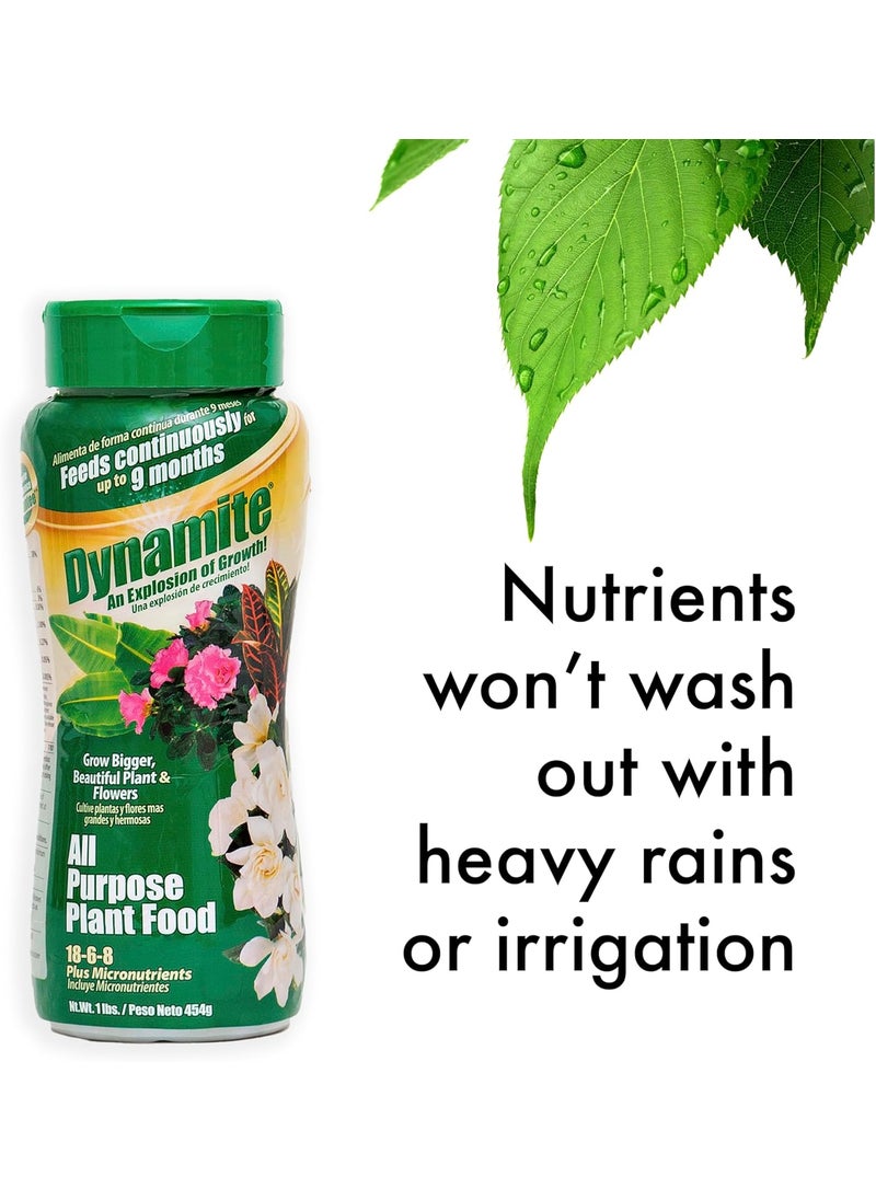 Dynamite Dynamite 605951 All Purpose Indoor and Outdoor Plant Food 1Pound  - Image 5