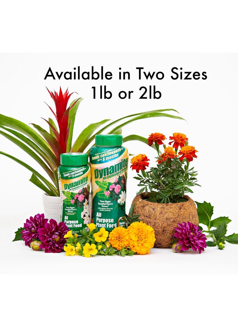Dynamite Dynamite 605951 All Purpose Indoor and Outdoor Plant Food 1Pound  - Image 3