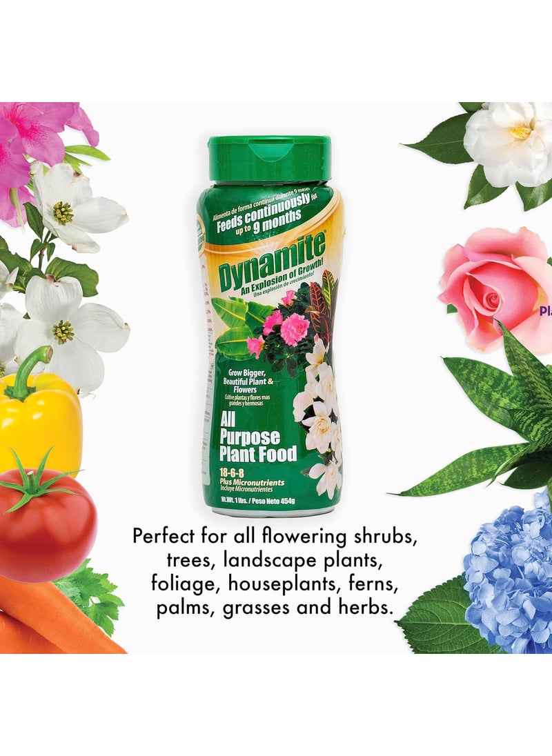 Dynamite Dynamite 605951 All Purpose Indoor and Outdoor Plant Food 1Pound  - Image 4