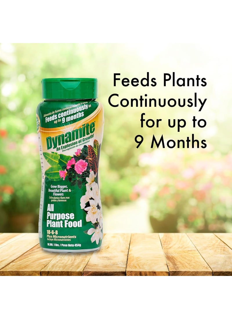 Dynamite Dynamite 605951 All Purpose Indoor and Outdoor Plant Food 1Pound  - Image 2