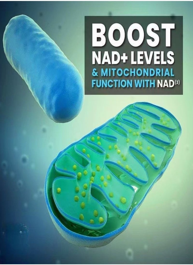 NAD HPN Supplements NAD NAD Booster Value Size 2 Month Supply Clinically Proven Independently Tested Metabolic Repair 312 mg per Serving 120 Capsules  - Image 5