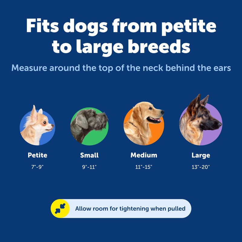 PetSafe Adjustable Martingale Collar - Improves Leash Manners - Escape Prevention - Gentle Behavior Training - Durable Nylon - Alternative to Choke Collar - Medium 1" - Royal Blue - Image 5