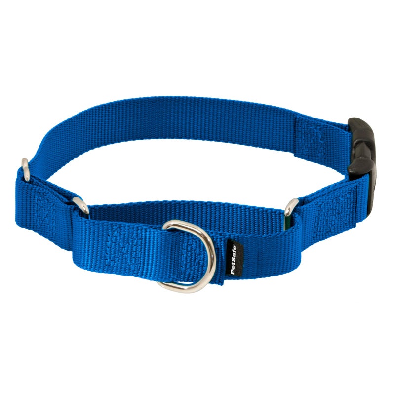 PetSafe Adjustable Martingale Collar - Improves Leash Manners - Escape Prevention - Gentle Behavior Training - Durable Nylon - Alternative to Choke Collar - Medium 1" - Royal Blue - Image 1