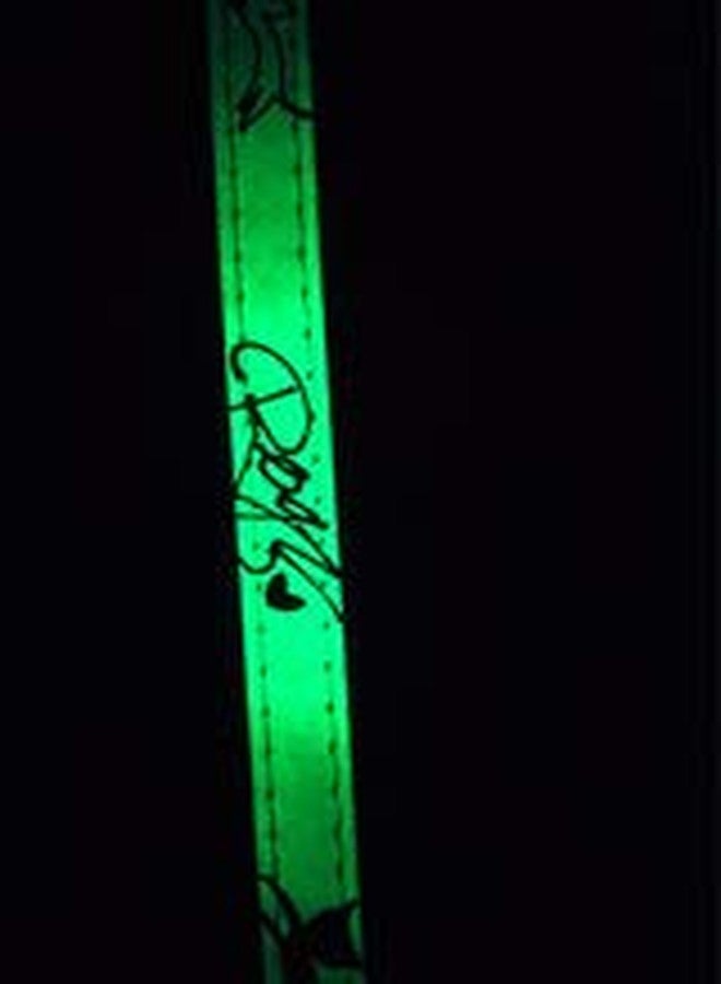 Rogz GlowCat Glow in the Dark Cat Harness and Leash Set Pink Small - Image 2