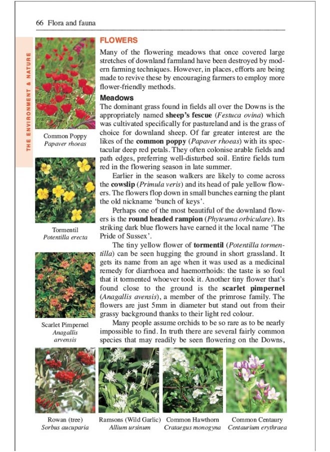 null - South Downs Way Trailblazer Walking Guide 8e: Practical guide with 60 Large-Scale Walking Maps (1:20,000) & Guides to 49 Towns & Villages - Planning, Places To Stay, Places to Eat - Image 1