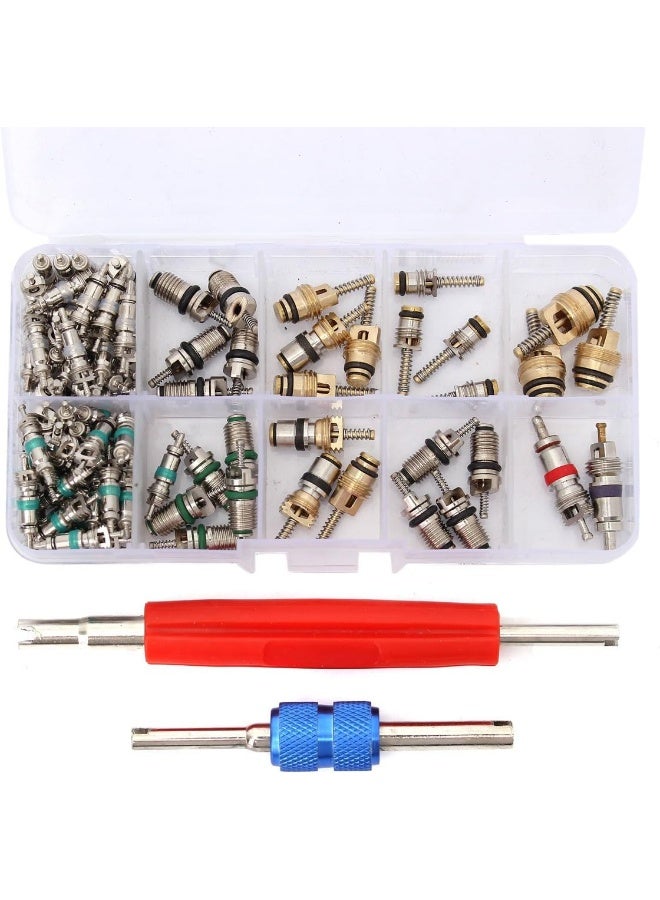 ESUMIC Car Air Conditioning Core Valves 102Pcs, R12 R134A Automotive A/C Valve Stem Cores w/Removal Tool for Car Air Conditioning Repair - Image 1