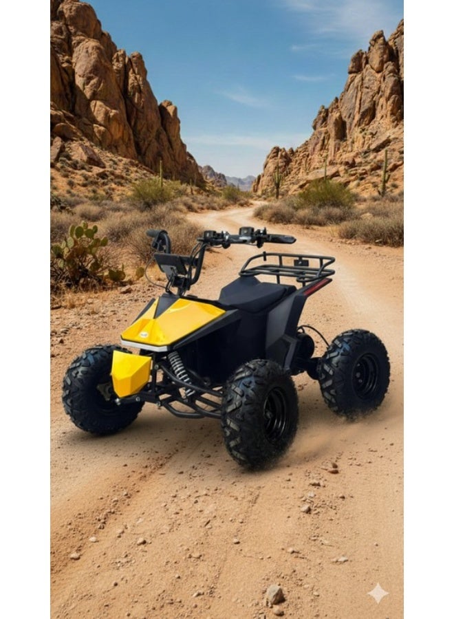 Tesla four-wheel scooter, large size - Image 1