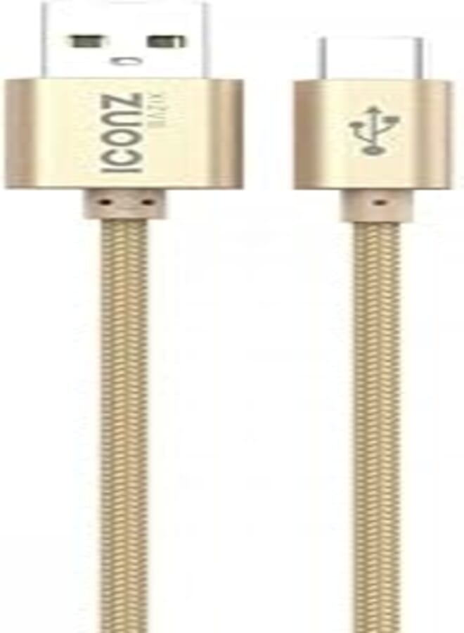 ICONZ Premium Braided Aluminum Type C Cable 2.4A N.Gold 1m
