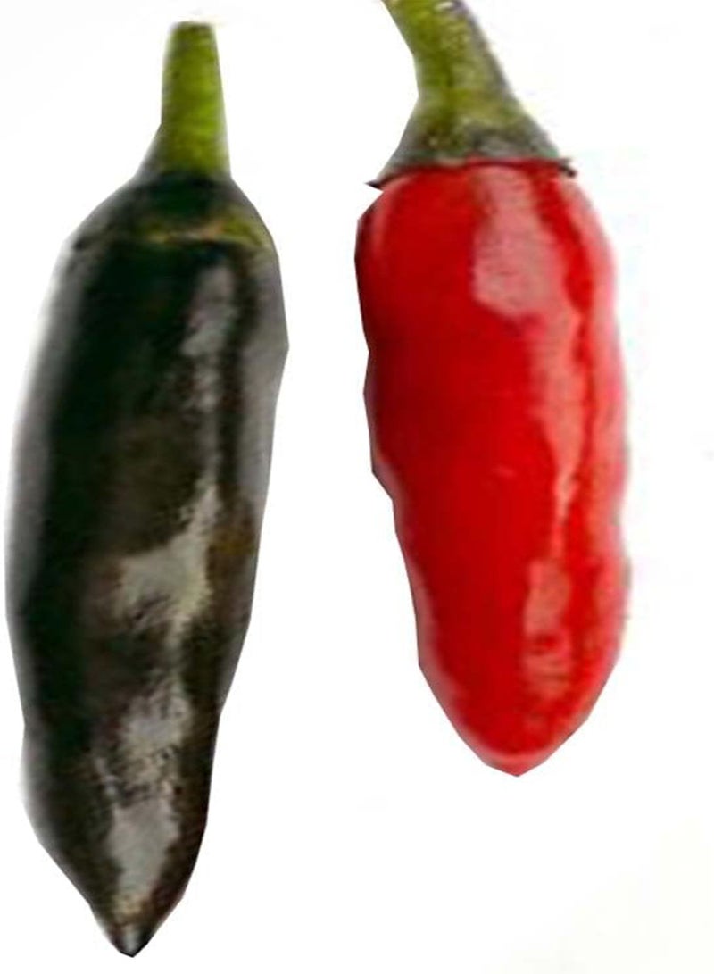 جي جوت بذور خضراوات الفلفل الحار كريشنا جولوكيا - كابسيكوم تشينينس، زراعة منزلية باستخدام مشعل ثقيل، 10 بذور - Image 2