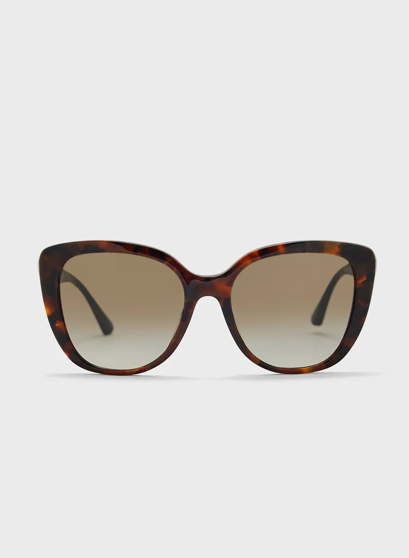 EMPORIO ARMANI 0Ea4214U Shape Sunglasses