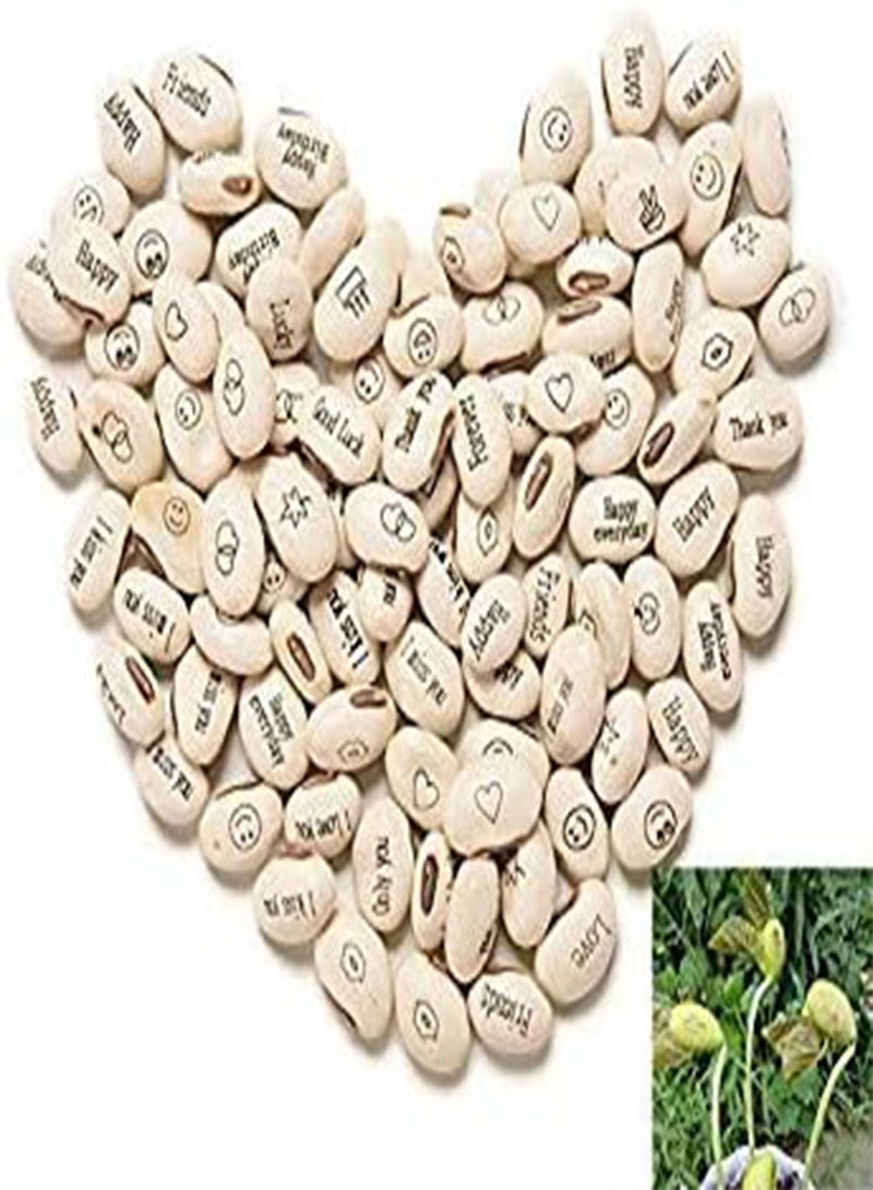 GGOOT Germination Seeds: 100PCQS DIY Magic Bean Seed Plant Love Gift Growing Message Word GX