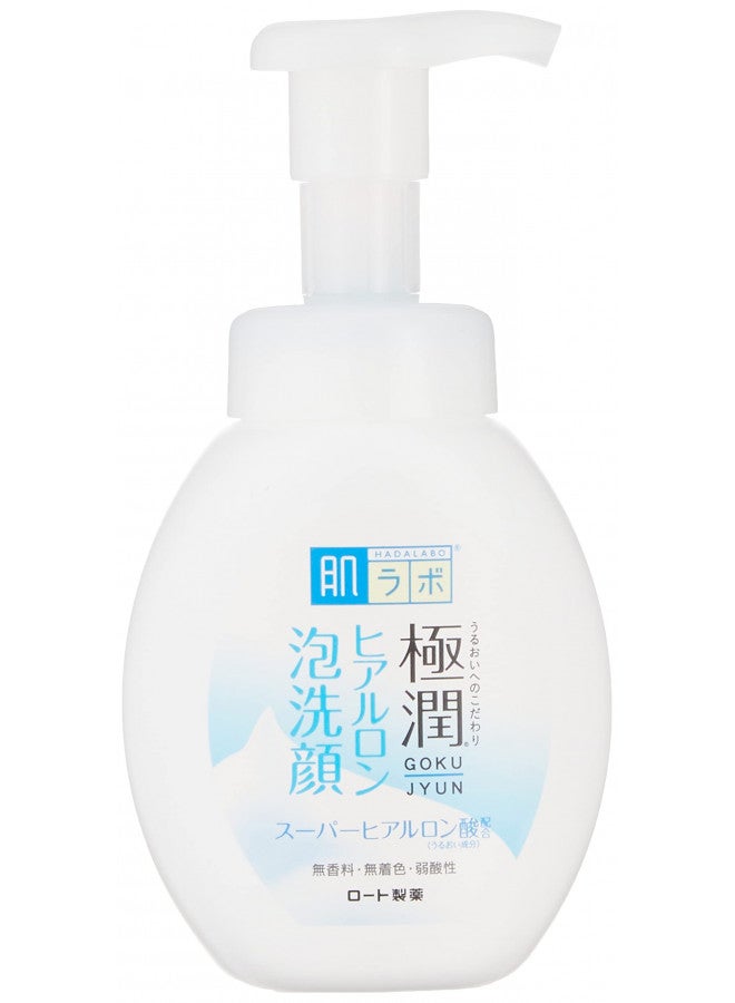 Rohto Hada Labo Rohto Gokujyn Hyaluronic Acid Cleansing Foam, 160ml - Image 1