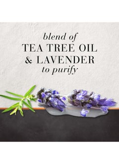 Hair Food HAIR FOOD Tea Tree & Lavender Water Hair Conditioner 10.1 fluid Ounce (300ml)  - Image 4