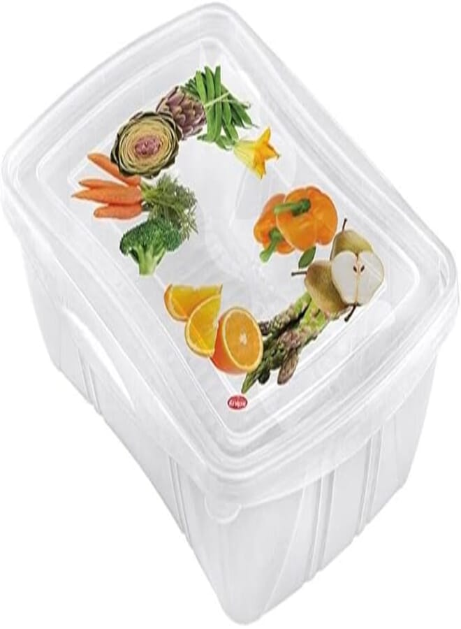 Snips food classic fresh container rectangular, multi-color