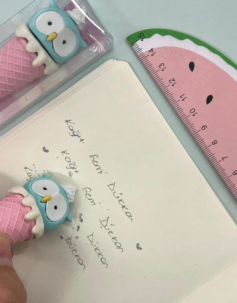 Kağıt Gemi Dükkan Pink Owl Cone Eraser