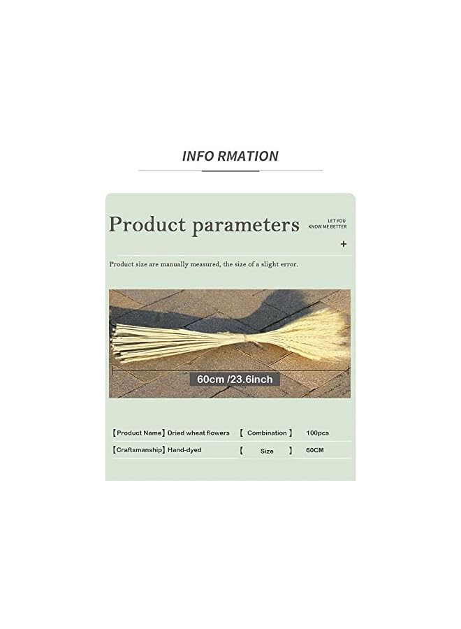 The Bros Dried Wheat Flowers Stalks 100 Stems Wheat Plant Sheaves for Decorating Wedding Table Home Kitchen - Image 5