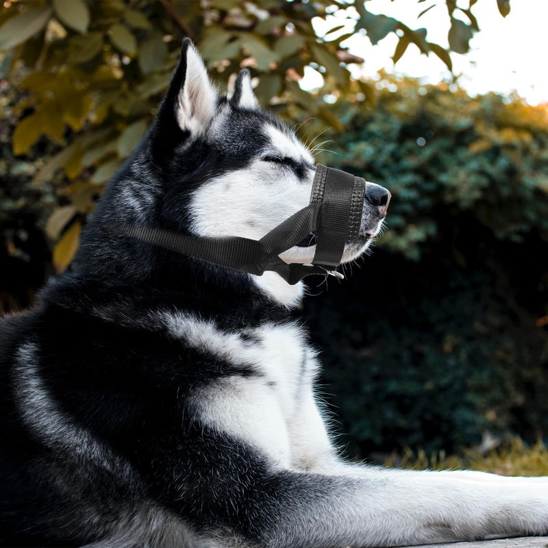 Extra Large Adjustable Black Dog Muzzle Breathable Anti Bite Chewing Prevention - Image 5
