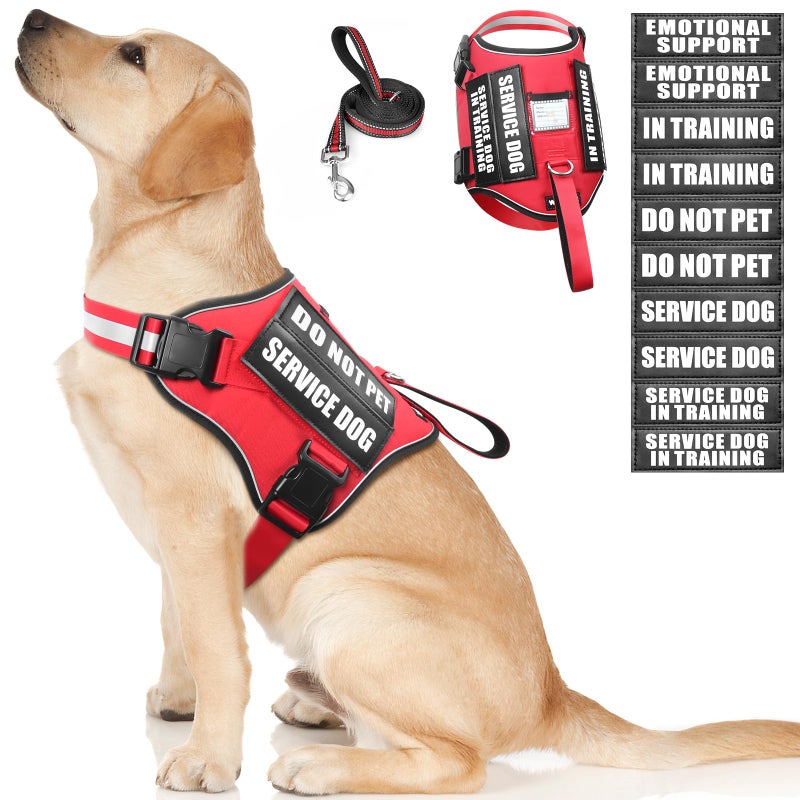 WINSEE Service Dog Harness and Leash Set, Training Dog Vest with 10 Dog Patches, Emotional Support Therapy Dog Vest Harness for Small Medium Large and Extra Large Dogs(Red, L) - Image 1
