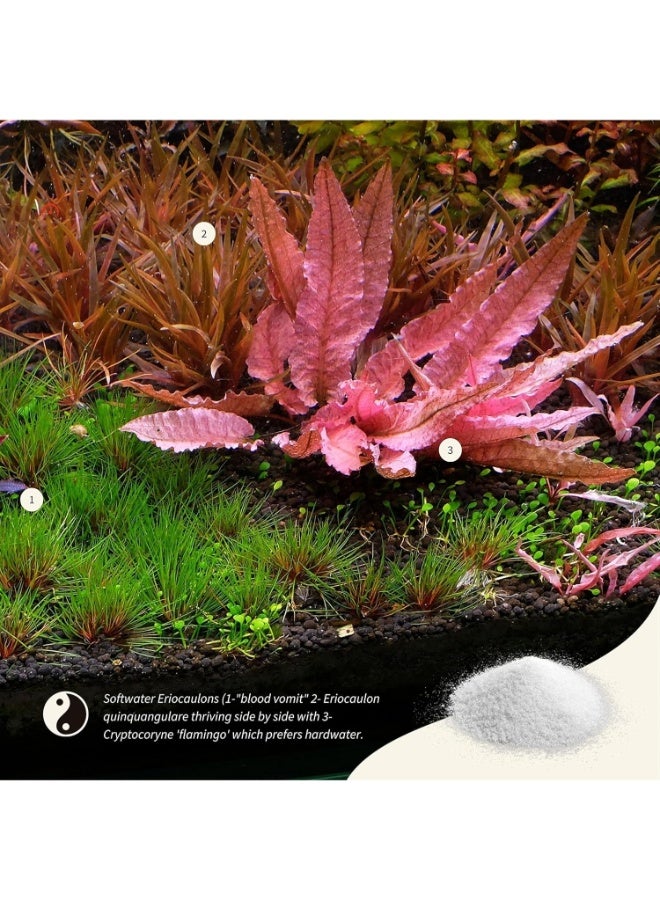 ايه بي تي معزز النمو APT Sky GH لمدة ساعتين من Aquarist + معدن الروبيان (70 جرامًا) - Image 5