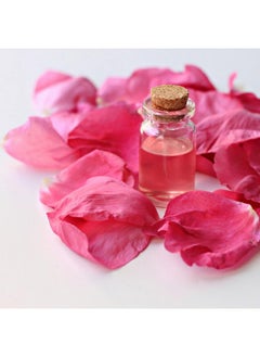 Rose Water 100Ml For Face Pack, Skin Care, Mask, Diy | Pure & Natural Gulab Jal | Men & Women - pzsku/ZD73795AD72C6F3CEB477Z/45/_/1735816991/e5b40b88-2768-499f-8029-4d87bb2d4a1e