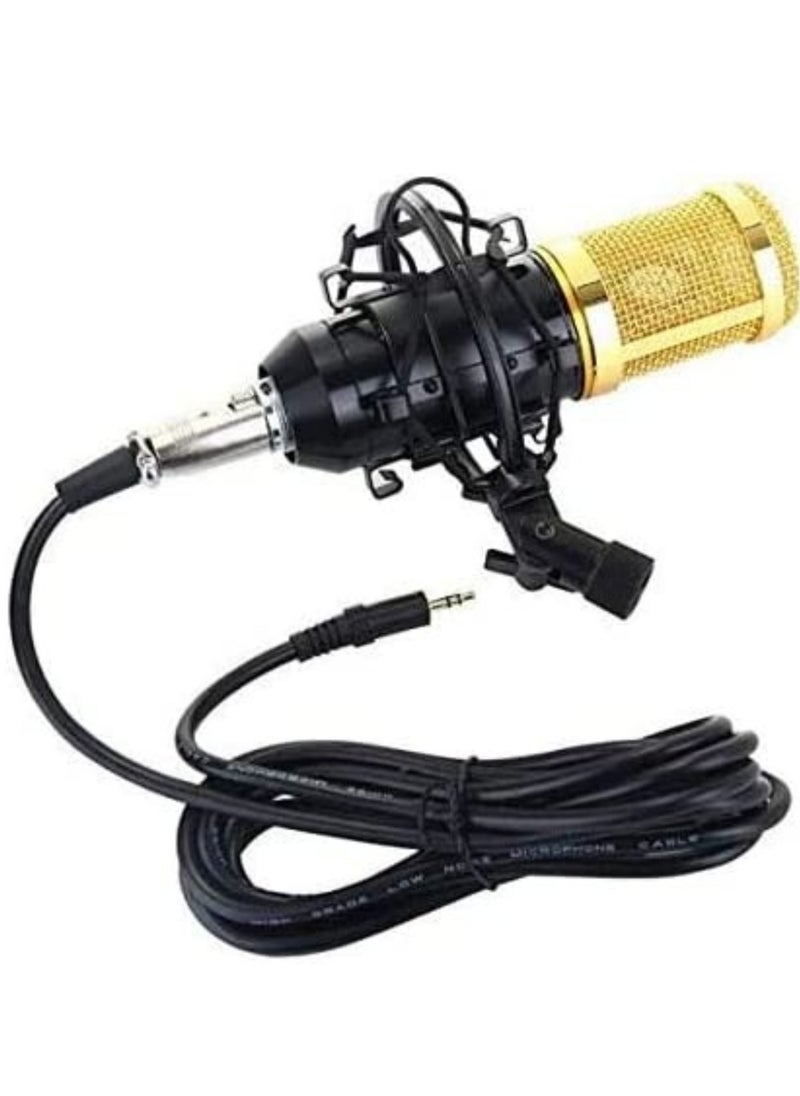 BGM Microphone,Live Sound Card & BM800 Suspension Microphone Kit Broadcasting Recording Condenser Microphone Set Intelligent Volume Audio Mixer Sound Card for Computer PC Live Sound  - Image 4